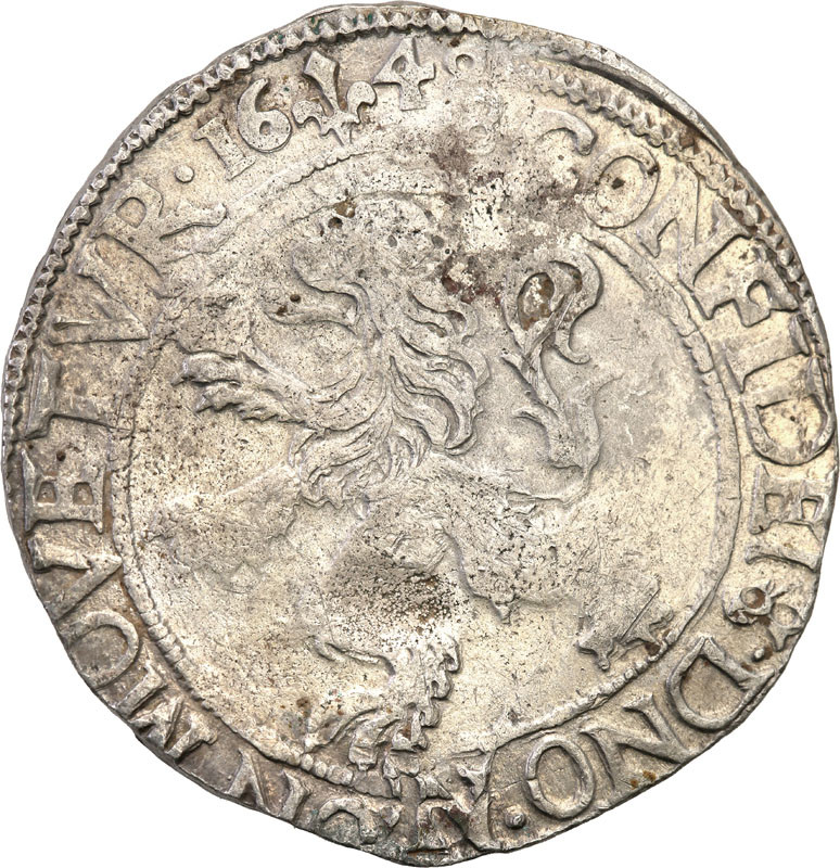 Niderlandy, Campen. Talar lewkowy (Leeuwendaalder) 1648